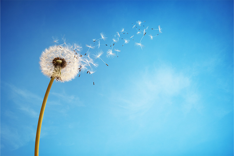 Mindfulness MBSR per la Gestione dello Stress e delle Emozioni - VI ed. 2025